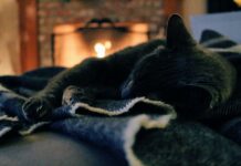 Jak si užít krbová kamna bez kouře, sazí a zbytečné práce Foto: Pexels/Jenna Hamra
